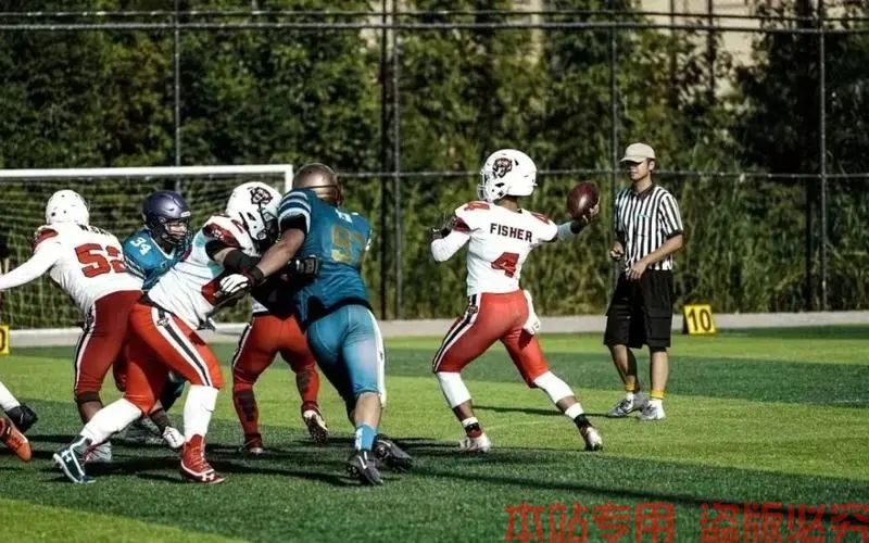 多米体育官网登录